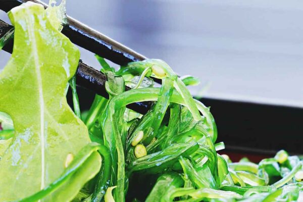 8 Aneka Ide Bisnis Minuman Sehat yang Bisa Dicoba