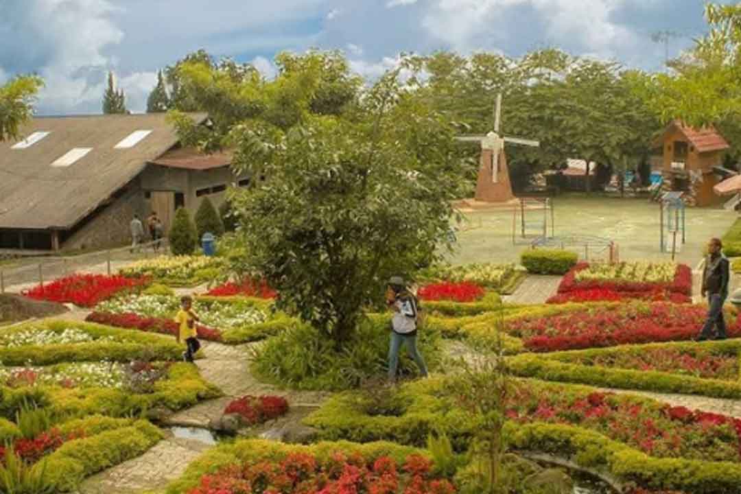Pesona Taman Bunga Nan Indah 